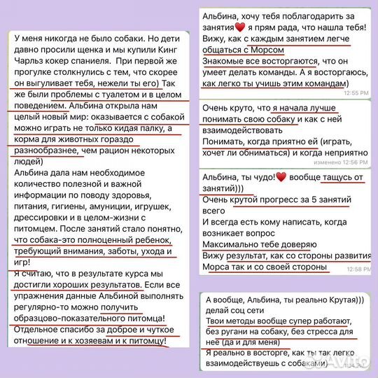 Кинолог - зоопсихолог