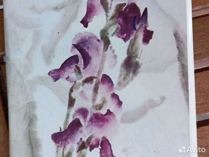 Комплект 16 открыток. Конашевич 1973 год