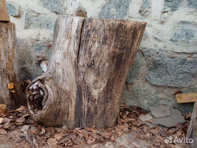 Пеньки, пни, пень, пенек