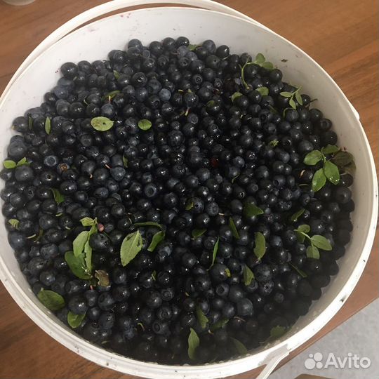 Ягоды черника