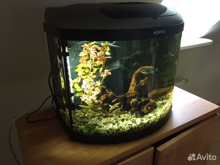 Аквариум Aquael Pearl панорамный