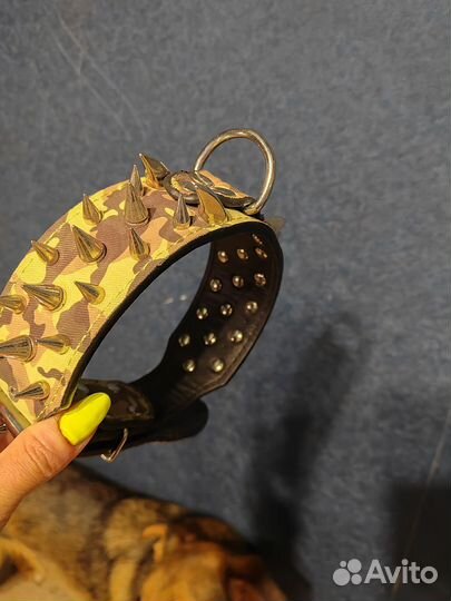 Ошейники на собак