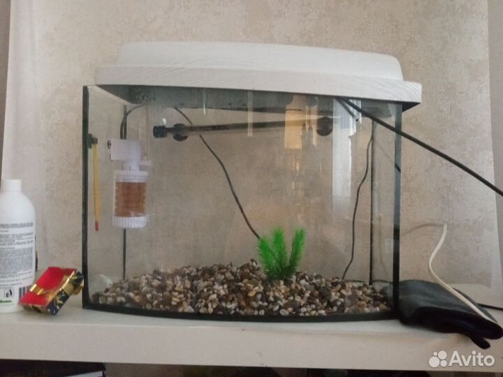 Аквариум