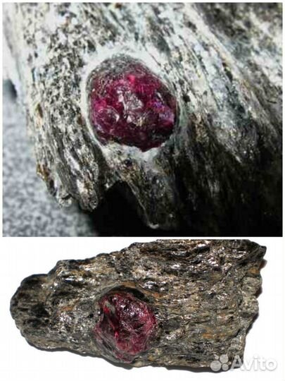 Индивидуальные прогулки по Северному приладожью