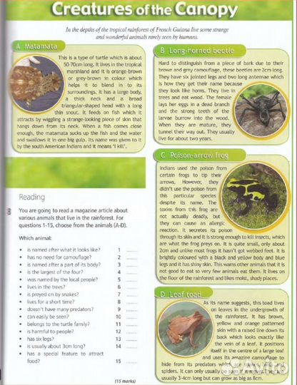 Репетитор по английскому языку, огэ, егэ Онлайн