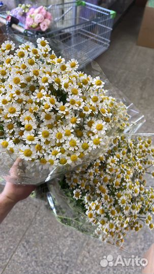 Оптовый склад цветов