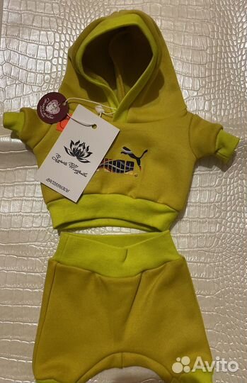 Одежда на кота Басика и Ли Ли