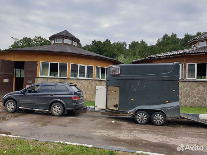 Перевозка лошадей,коневоз,конеперевозки