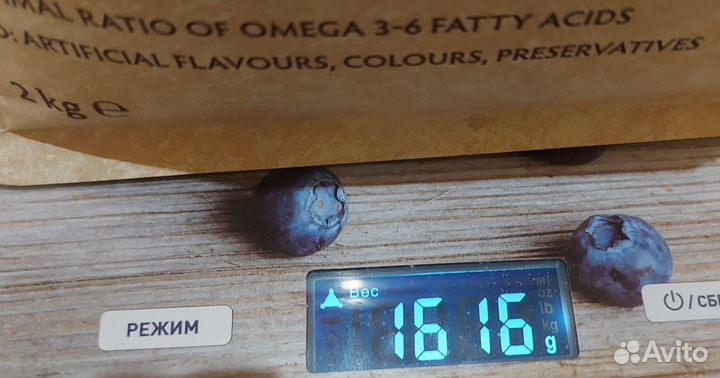 Корм для котят grandorf 2 кг