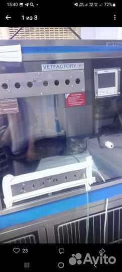 Котику помогите