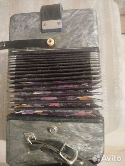 Гармонь чайка