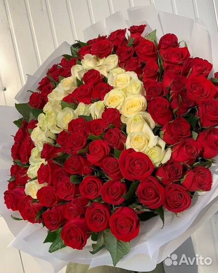 Букет свежих роз 101 шт