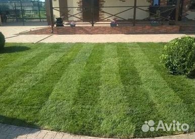 Укладка газона
