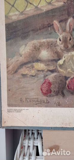 Постер/плакат/ пособие дет. садов/ ссср/кролики