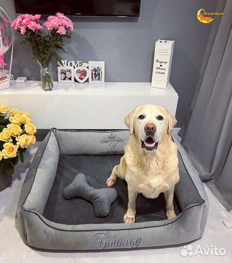 Лежанка для большой собаки