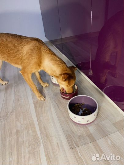 Гибкое/мягкое стекло, обрезки