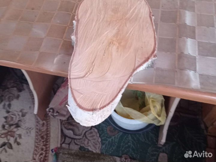 Торцевые спилы деревьев