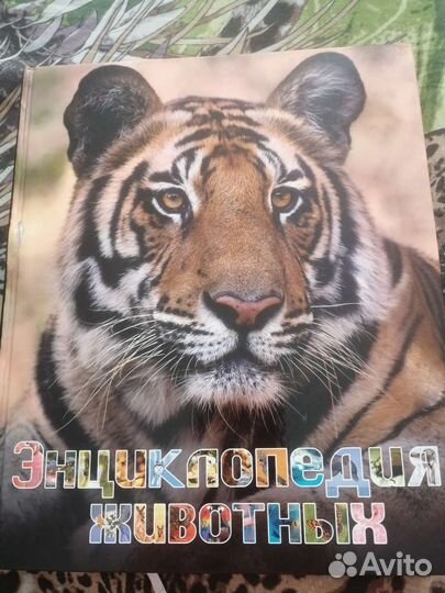 Энциклопедия животных