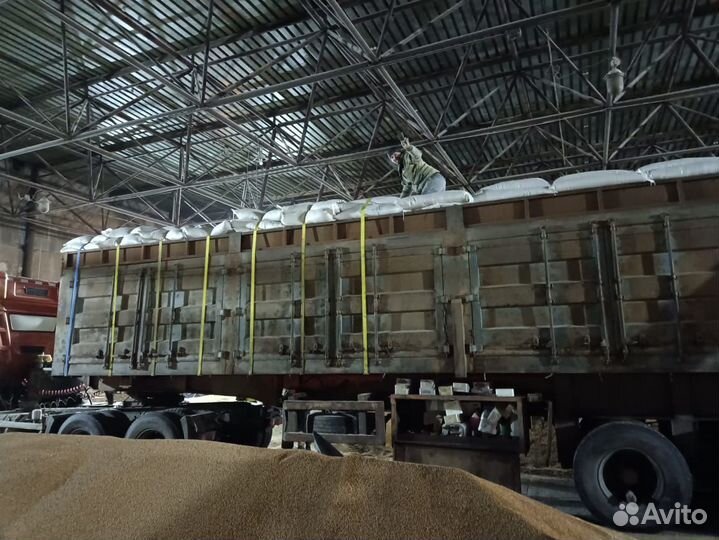 Отруби пшеничные оптом