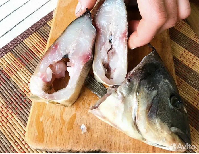 Вяленая рыба Дорадо Сибас Ёрш Форель Мойва Сайра