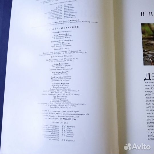 Мир животных, Серия книг.Белфаст