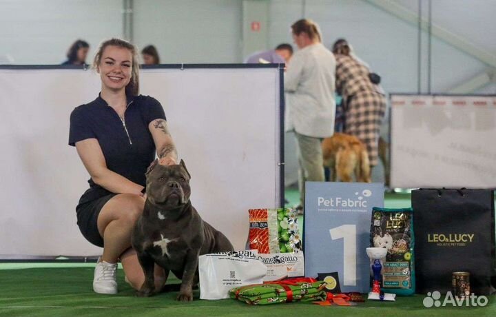 Хендлер / Кинолог