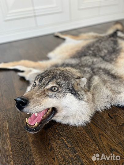 Чучело волка