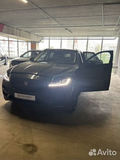 Автоподбор,Эндоскопия,Разовый осмотр,Автоэксперт