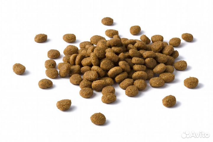 Раздаём бесплатно корм для кошек и собак за отзывы