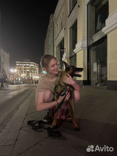 Кинолог с выездом