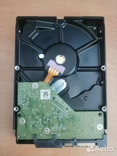 1 тб Жесткий диск Western Digital WD Blue