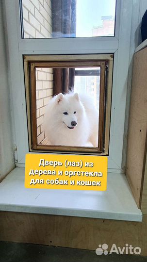 Дверца (лаз) для собак и кошек в балконную дверь