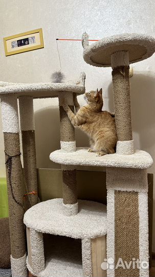 Домик для кошки