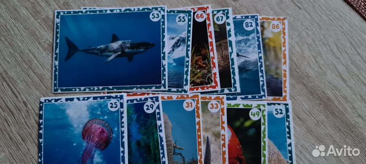 Наклейки с книги живая планета