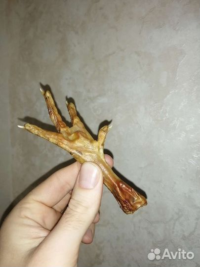 Сушёные куриные (утиные) лапки для собак