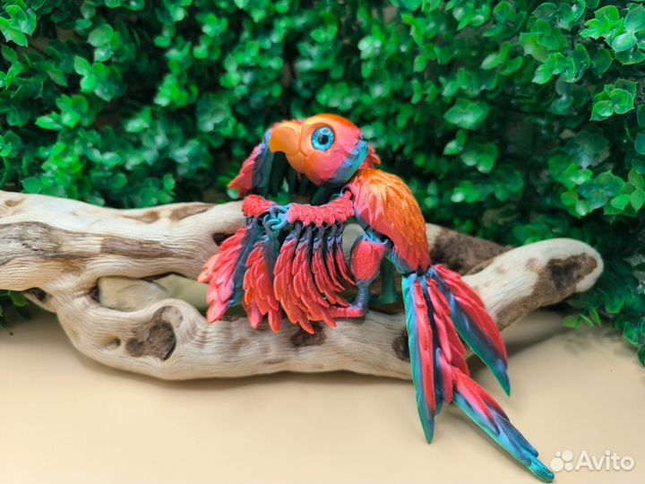 Попугай и ласточка