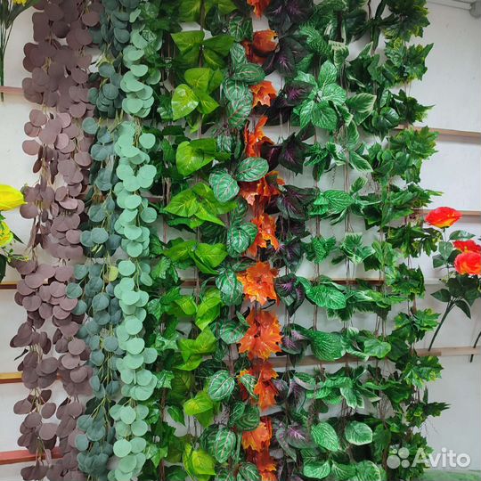 Плющи, ветки, лианы, зелень