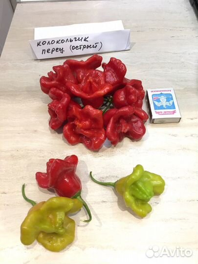 Семена из сверхострых и острых перцев