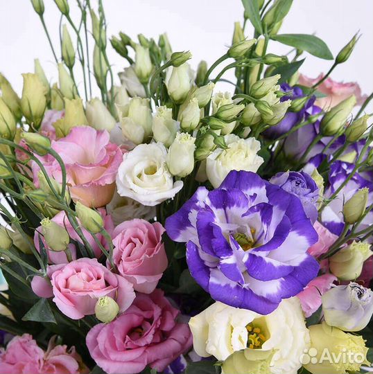 Эустома Лизиантус Букеты