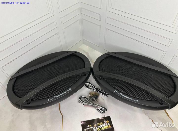 Автоколонки Pioneer TS-A6995 1800W 15x23 см