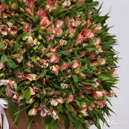 Букет из 51 розовой альстромерии