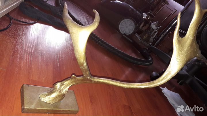 Оленьи рога, вешалка