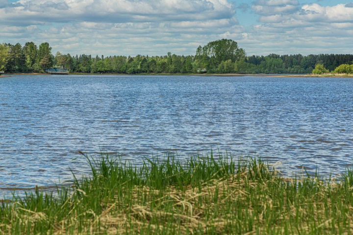 Участок 20 сот. (ИЖС)