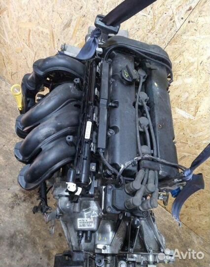 Двигатель Ford Focus / C-Max 1.6