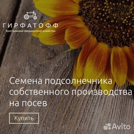 Семена подсолнечника