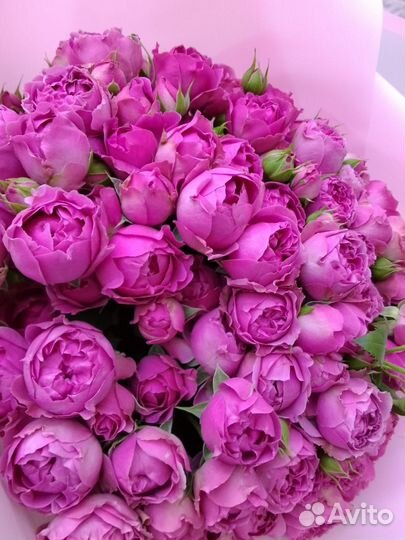 Пионовидные розы доставка краснодар