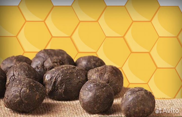 Продам прополис