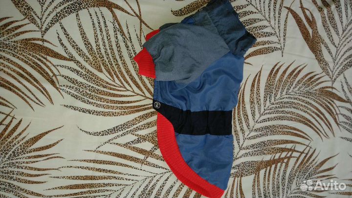 Одежда для маленьких собак s