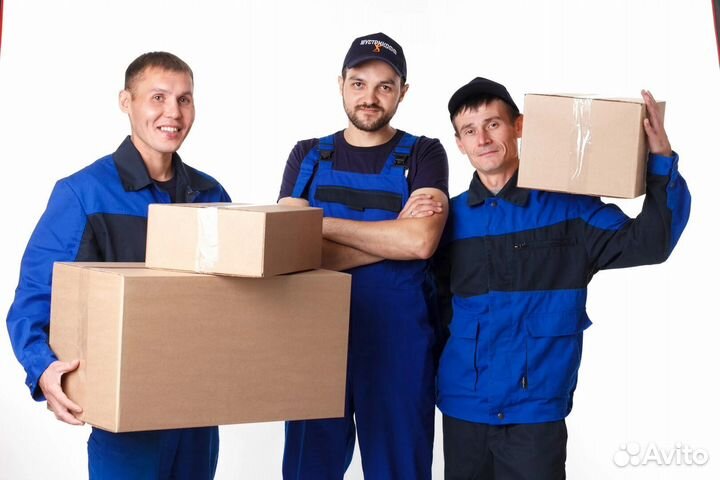 Грузчик с ежедневными выплатами