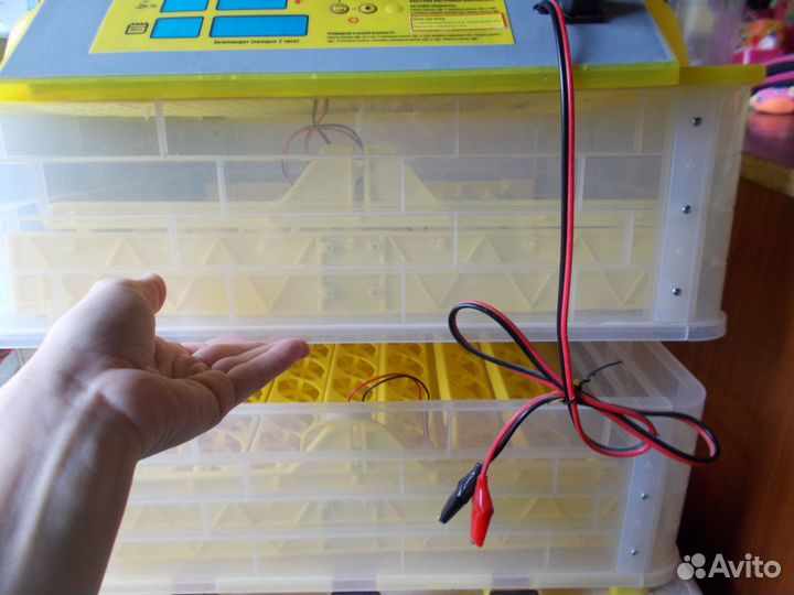 Инкубатор с автоповоротом, терморегулят. и гигром